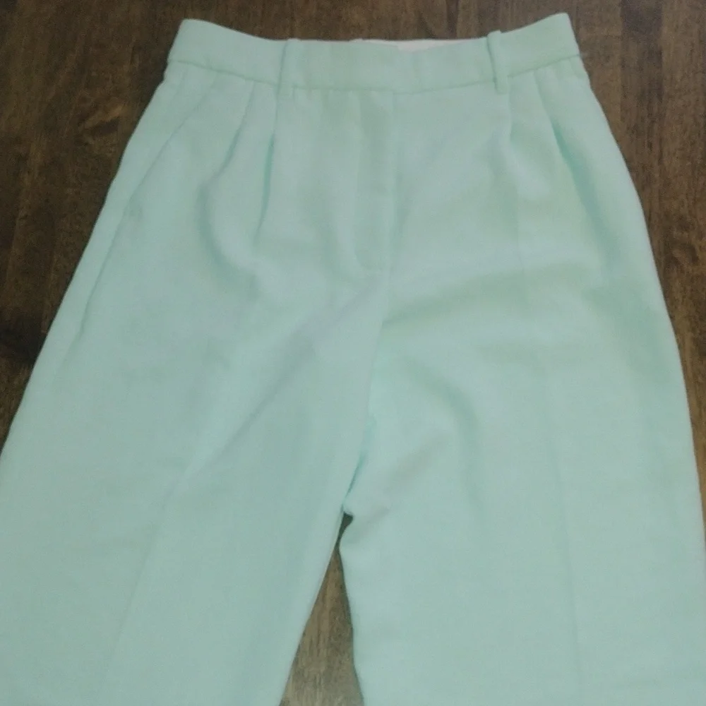 Wilfred Arizona Mint Green Ankle High Waisted Wide Leg Pleated Pant 8